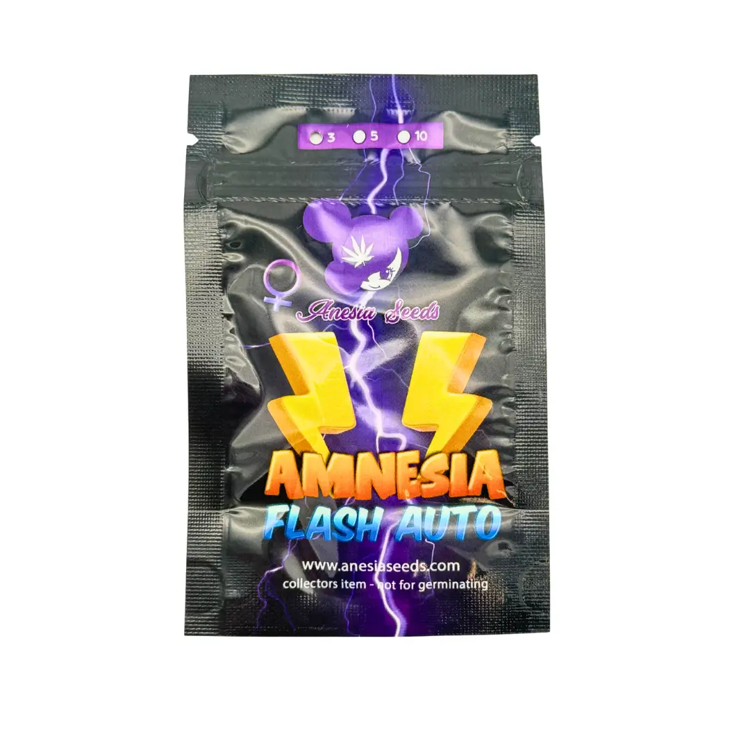 Anesia Seeds Amnesia Flash Auto Verpackung Vorderseite