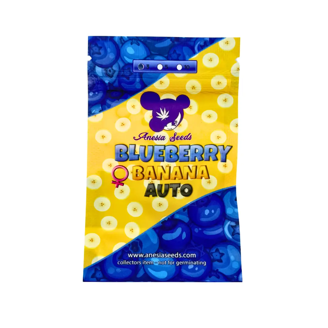 Anesia Seeds Blueberry Banana Auto Verpackung Vorderseite