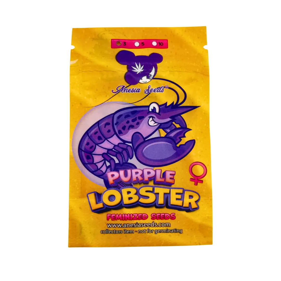Anesia Seeds Purple Lobster Verpackung Vorderseite