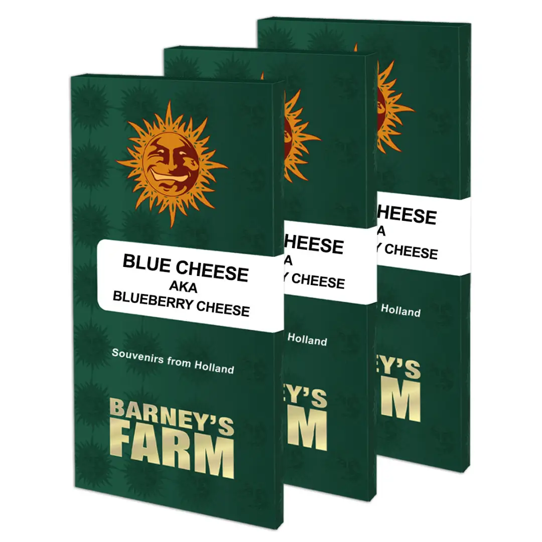 Barneys Farm Blue Cheese Verpackung
