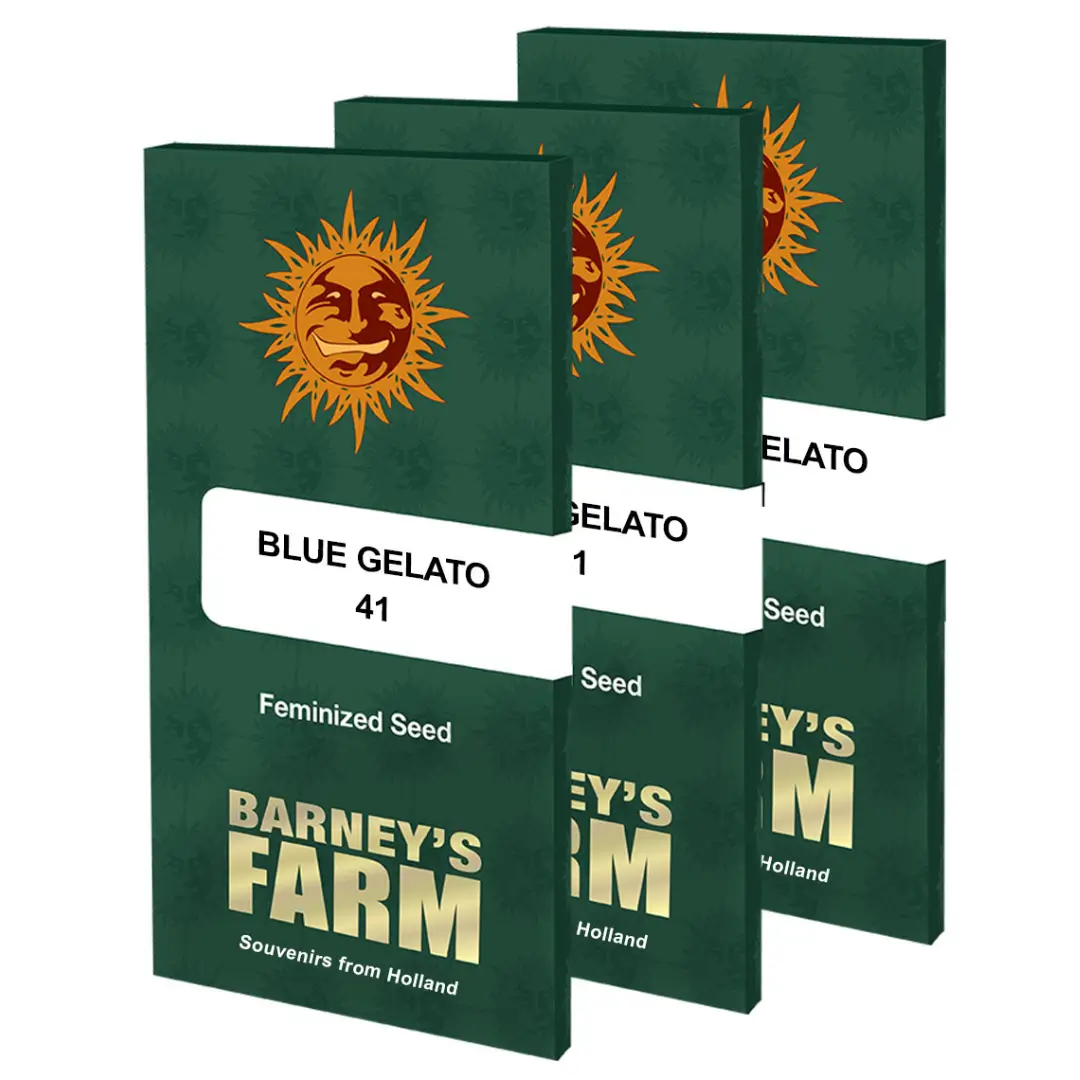 Barneys Farm Blue Gelato 41 Verpackung