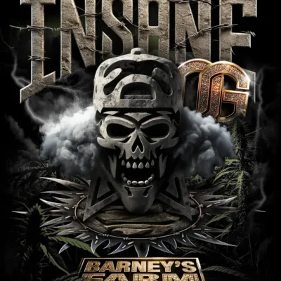 Barneys Farm Insane OG