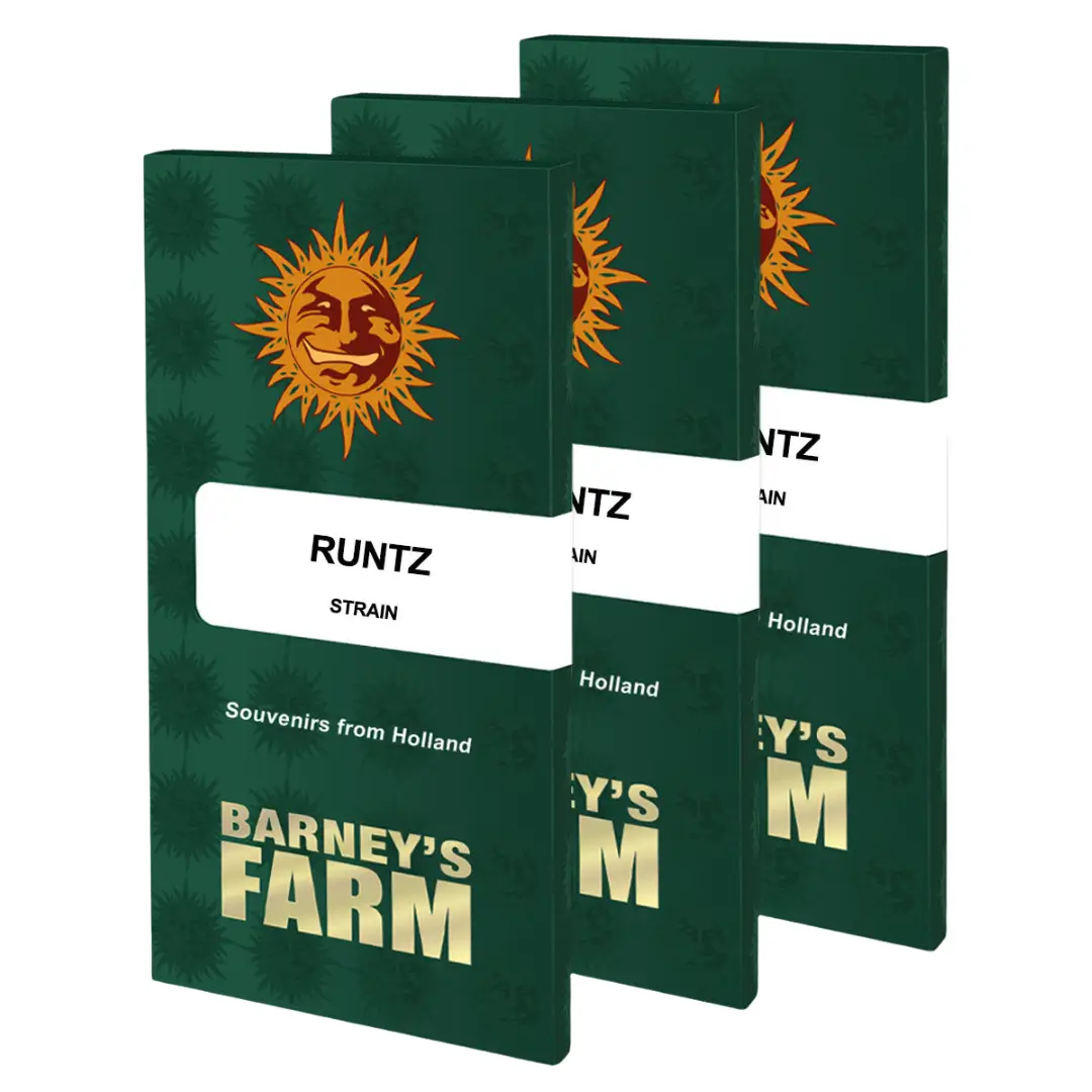 Barneys Farm Runtz Verpackung