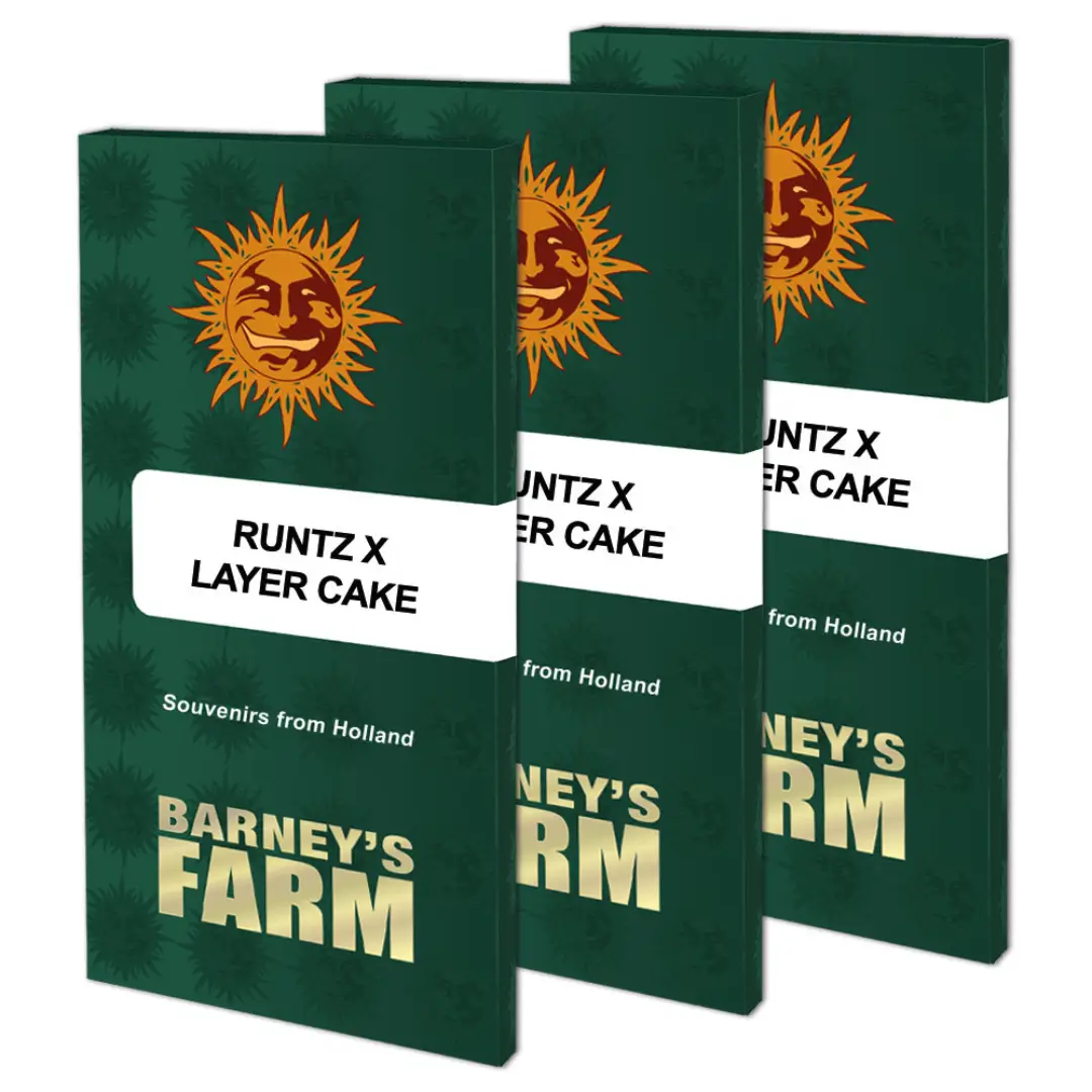 Barneys Farm Runtz x Layer Cake Verpackung