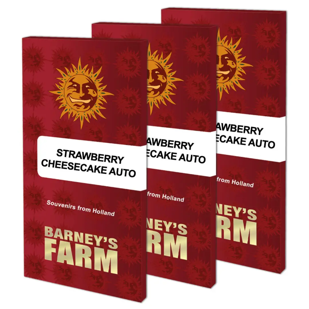 Barneys Farm Strawberry Cheescake Auto Verpackung