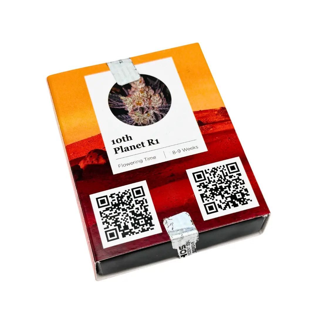 Ethos 10th Planet R1 Verpackung hinten