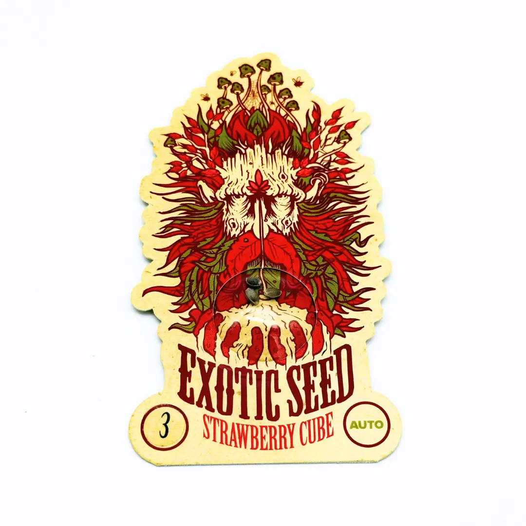 Exotic Seed Strawberry Cube Auto Verpackung vorne