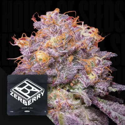 Grounded Genetics Zerberry – 7 Stück