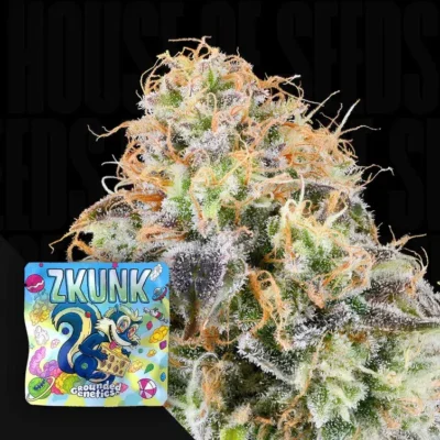 Grounded Genetics Zkunk – 7 Stück