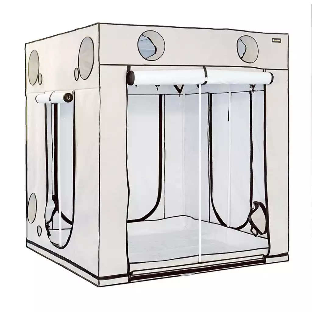 HOMEbox Ambient Q200+ Growbox 200x200x220cm