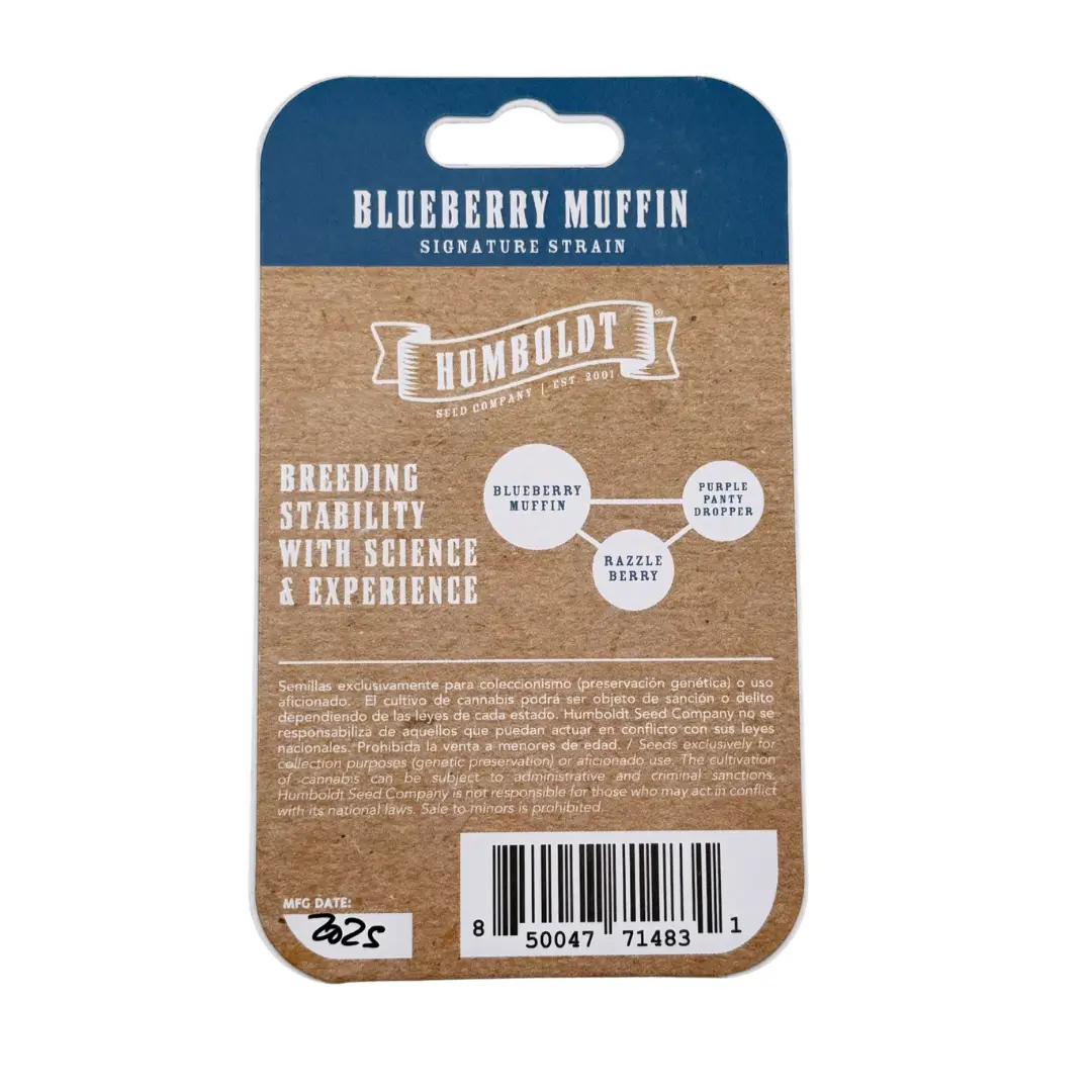 Humboldt Seed Co Blueberry Muffin Verpackung hinten