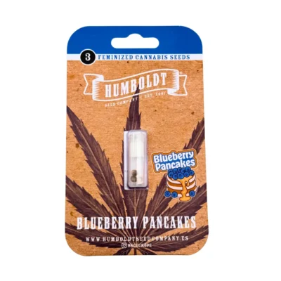 Humboldt Seed Co. Blueberry Pancakes 3er Pack