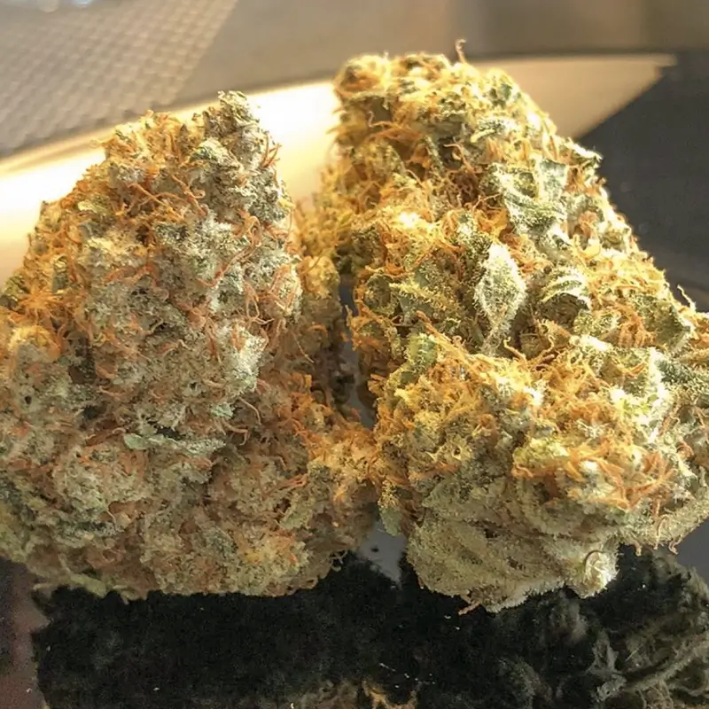 Lemon OG 03