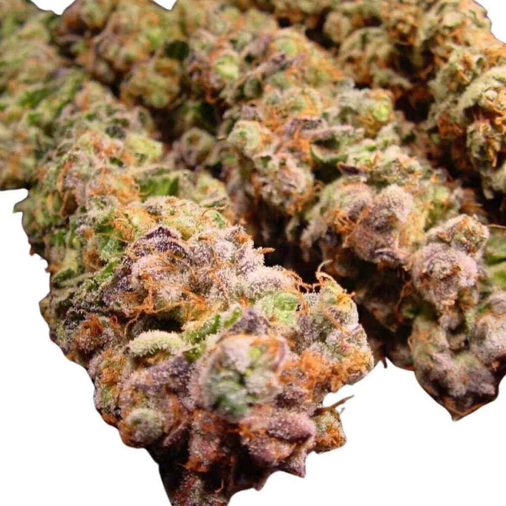 Paradise Seeds Durga Mata 3