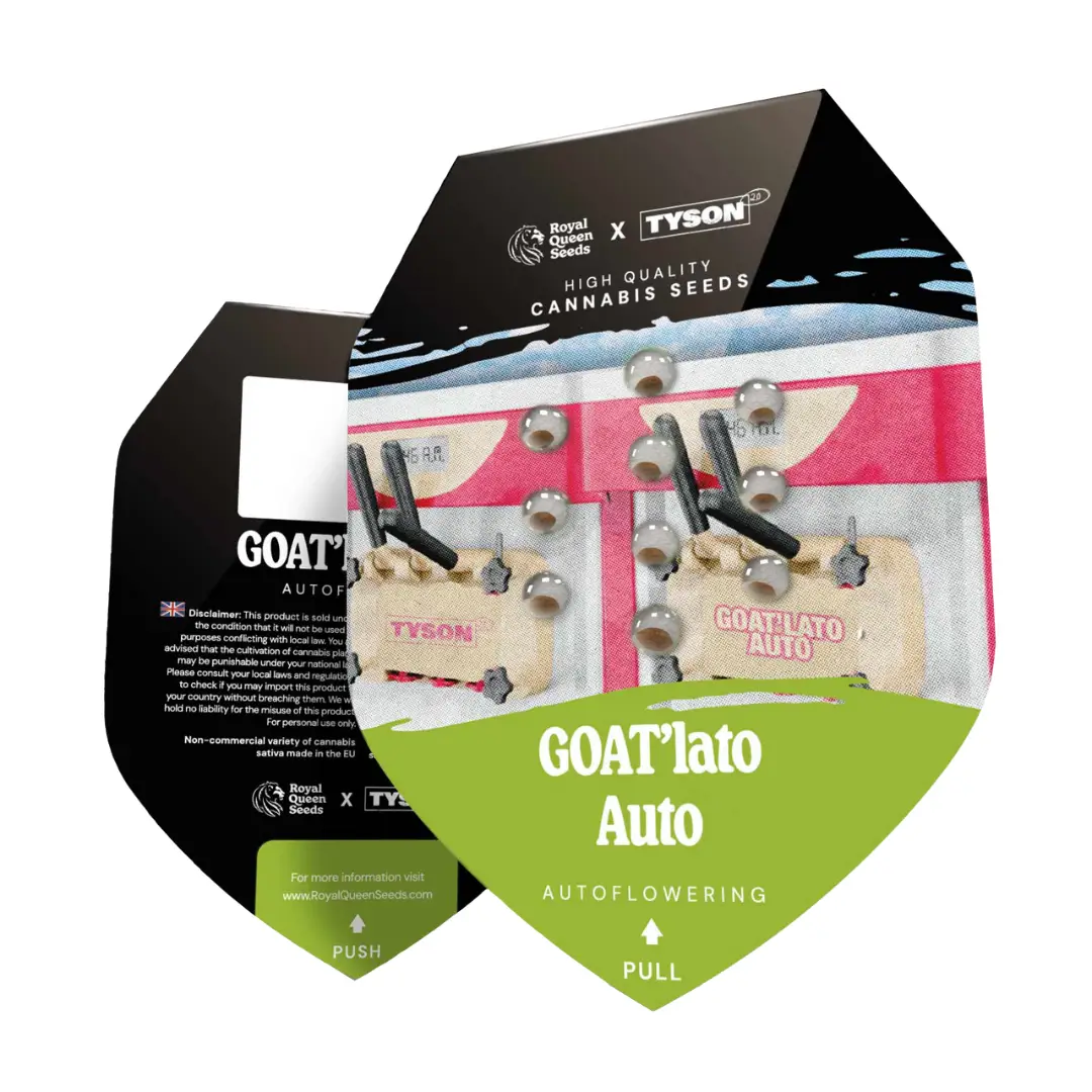 Royal Queen Seeds x Tyson GOATlato Auto