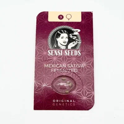 Sensi Seeds Mexican Sativa