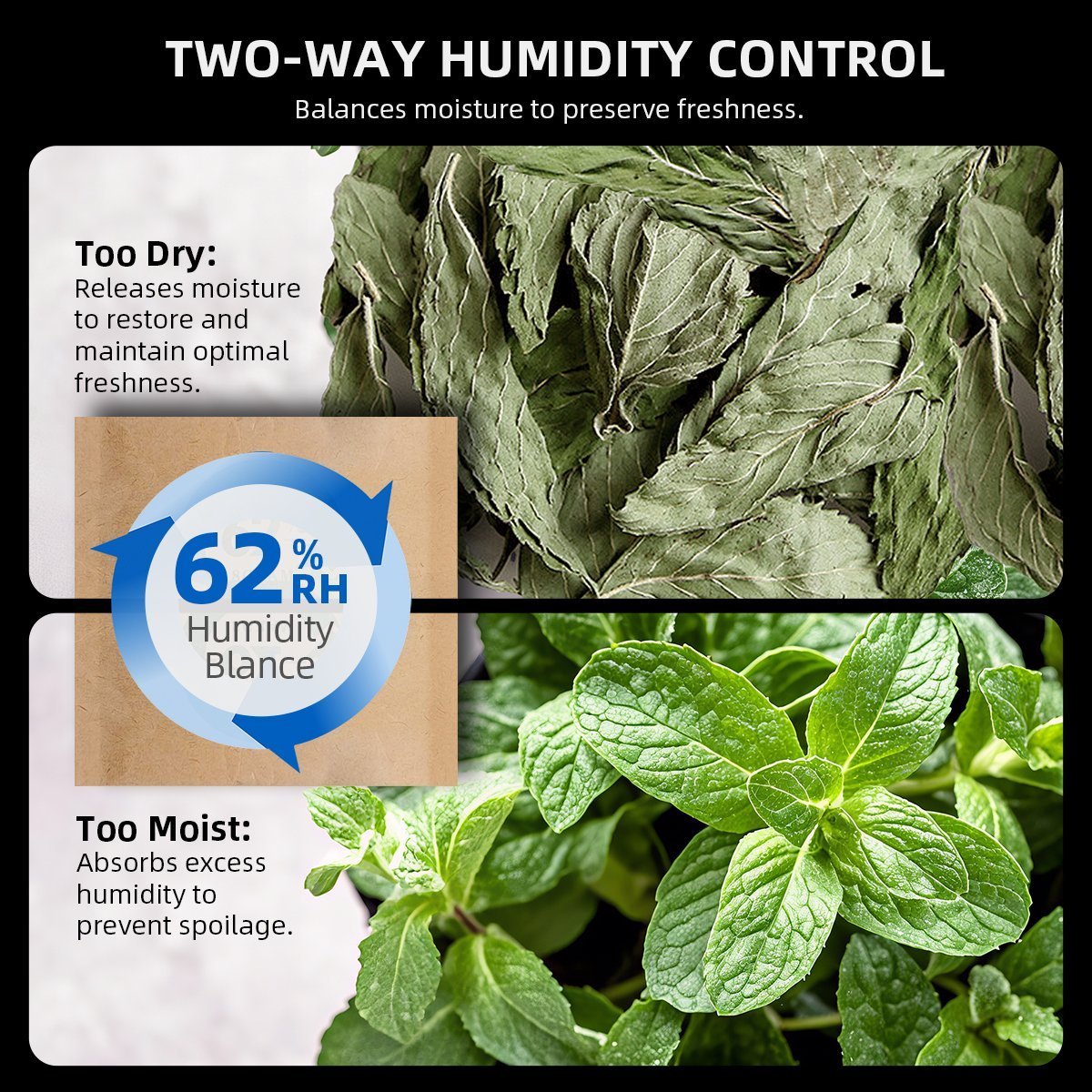 Spider Farmer 2L Auto Cure Smart Jar 6