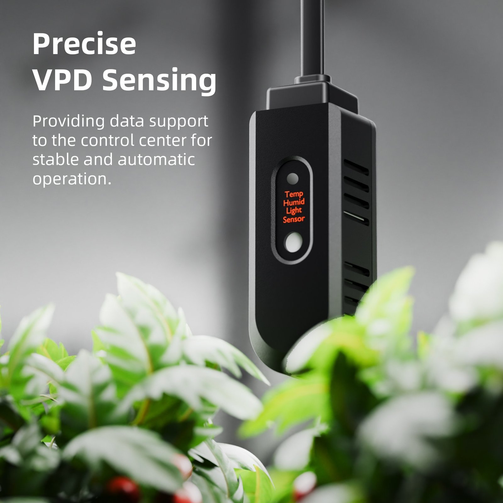 Spider Farmer 70x140x200cm Growzelt Set SE4500 17