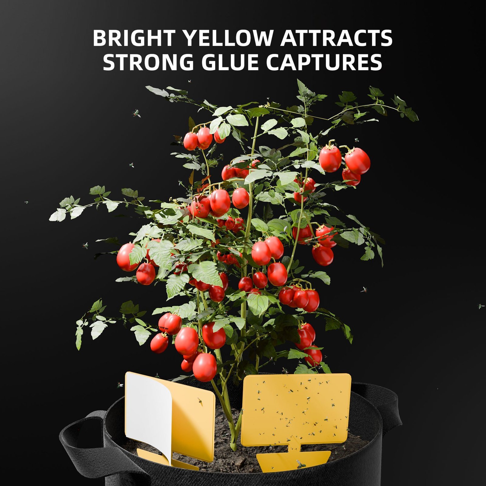 Spider Farmer 9 in 1 Plant Grow Tools Kit 5