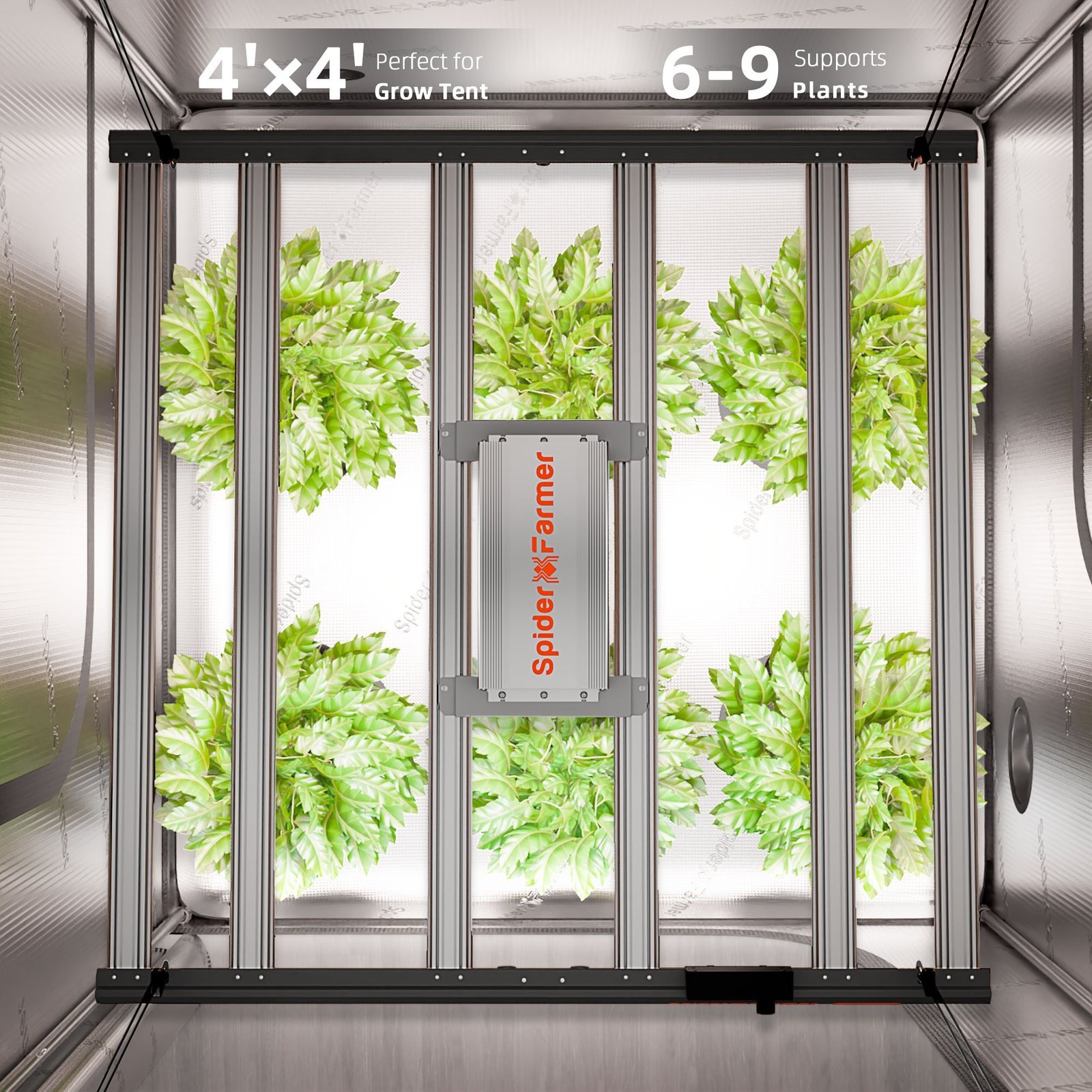 Spider Farmer Automatisiertes Growbox Komplettset – 120×120×200cm für 6 Pflanzen G5000 5
