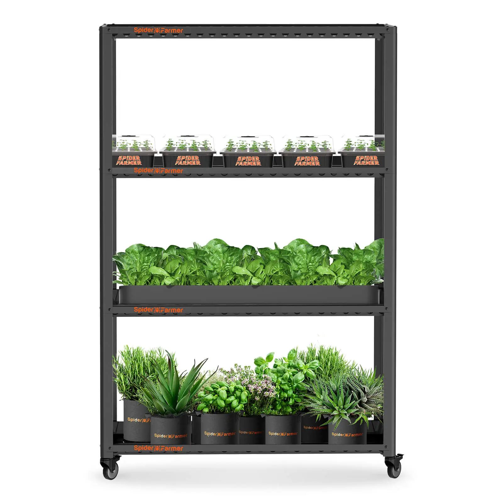 Spider Farmer SF600 Growshelves LED Pflanzenlicht für den Innenbereich und Metall Pflanzenständer mit Pflanzenschalen 2