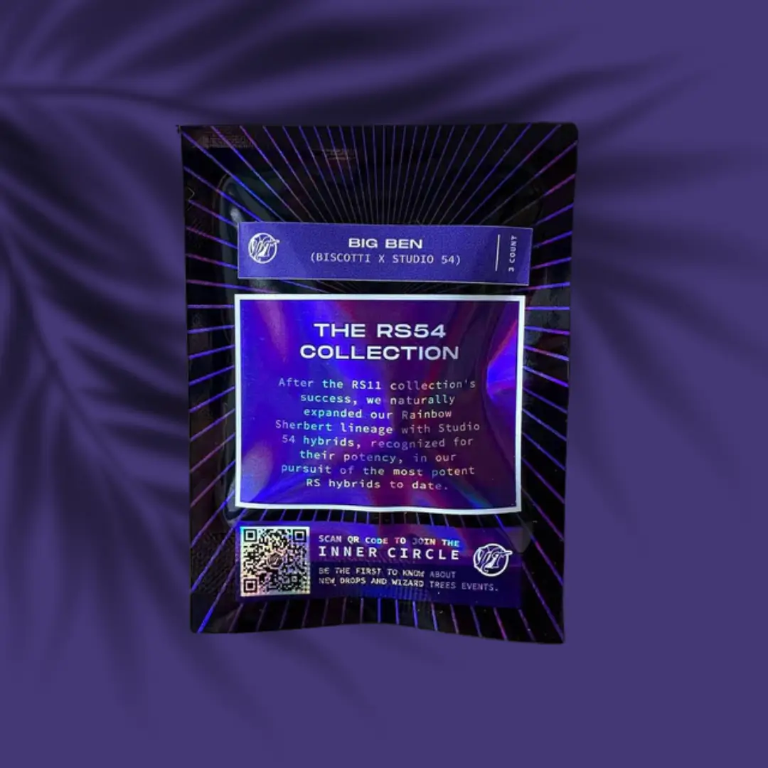 Wizard Trees Big Ben 2