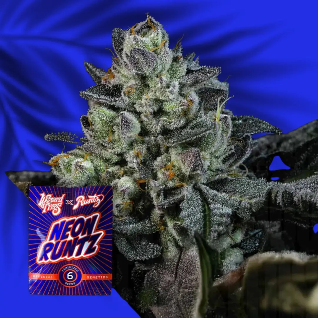 Wizard Trees Neon Runtz
