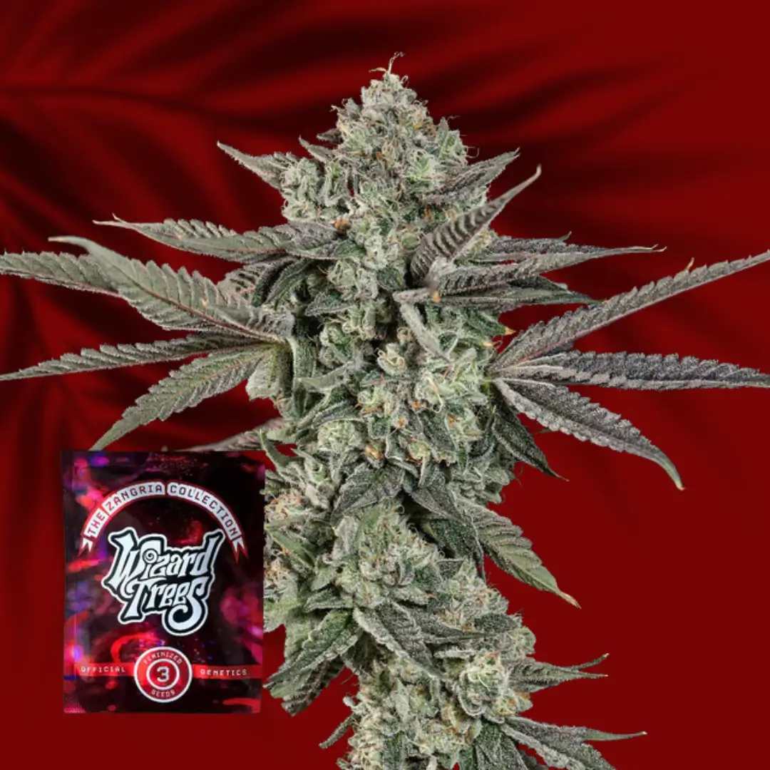 Wizard Trees Ropegria