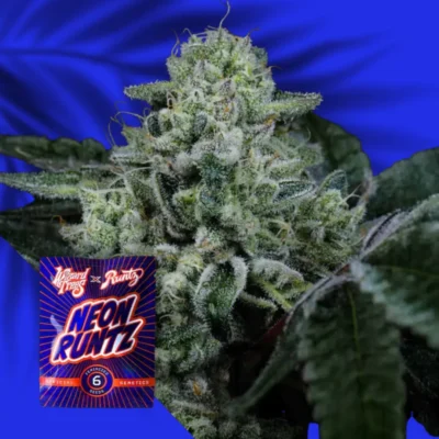 Wizard Trees Side Piece – 6 Stück