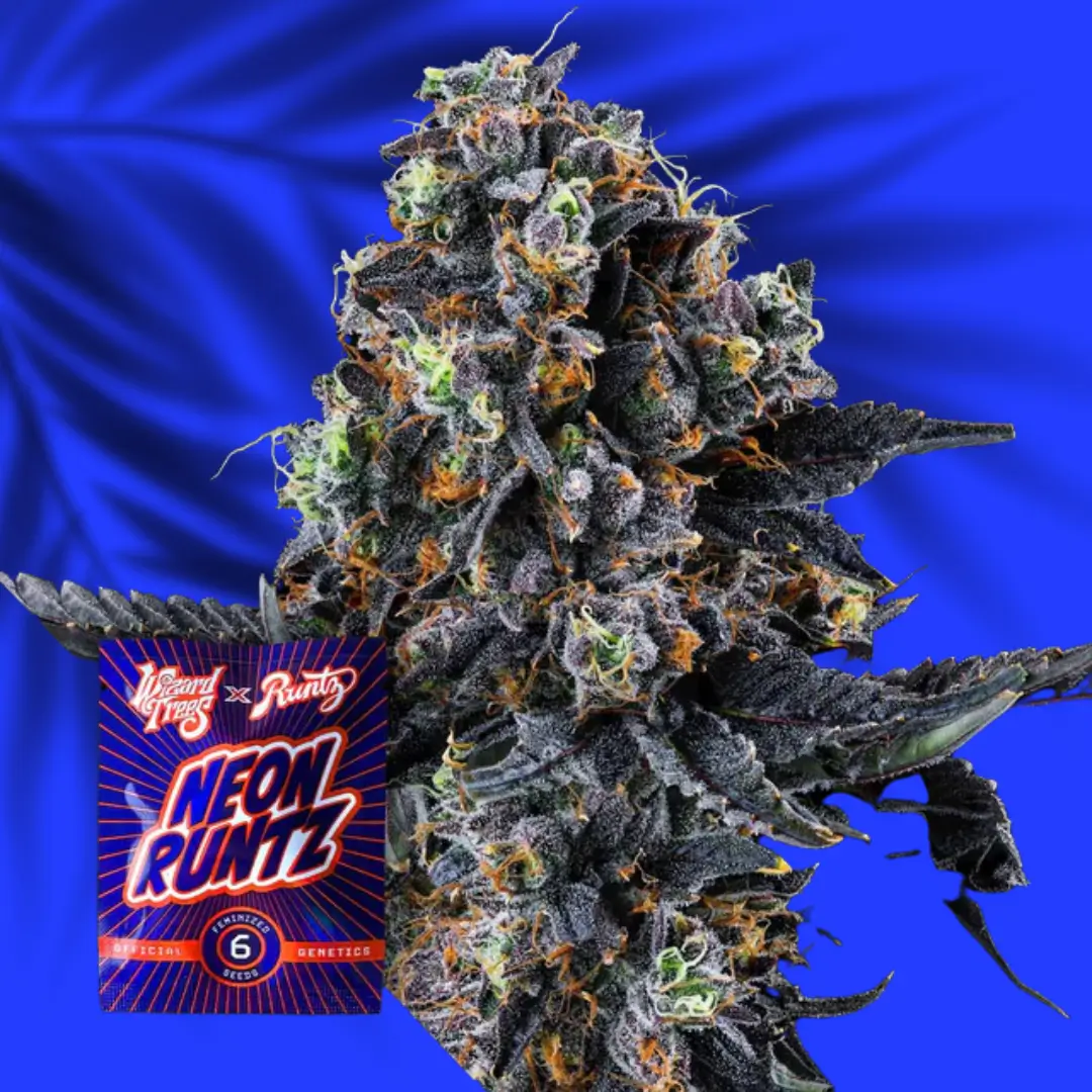 Wizard Trees White Soho