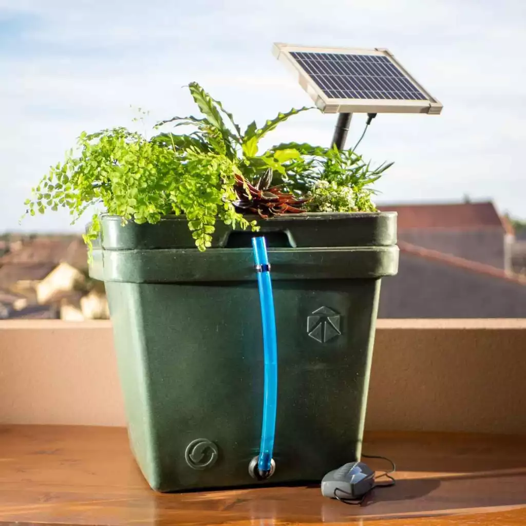 cultimate l solar terra aquatica ghe 2