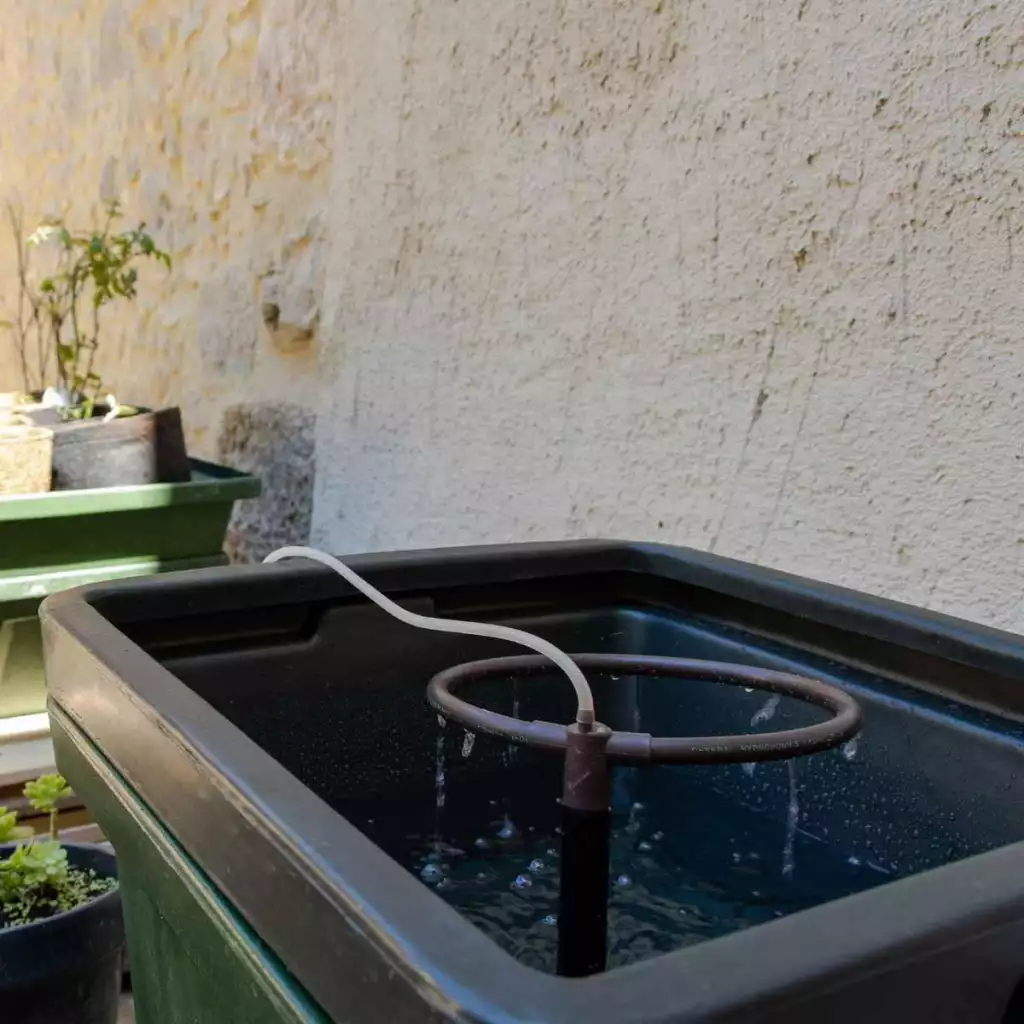 cultimate l solar terra aquatica ghe 3