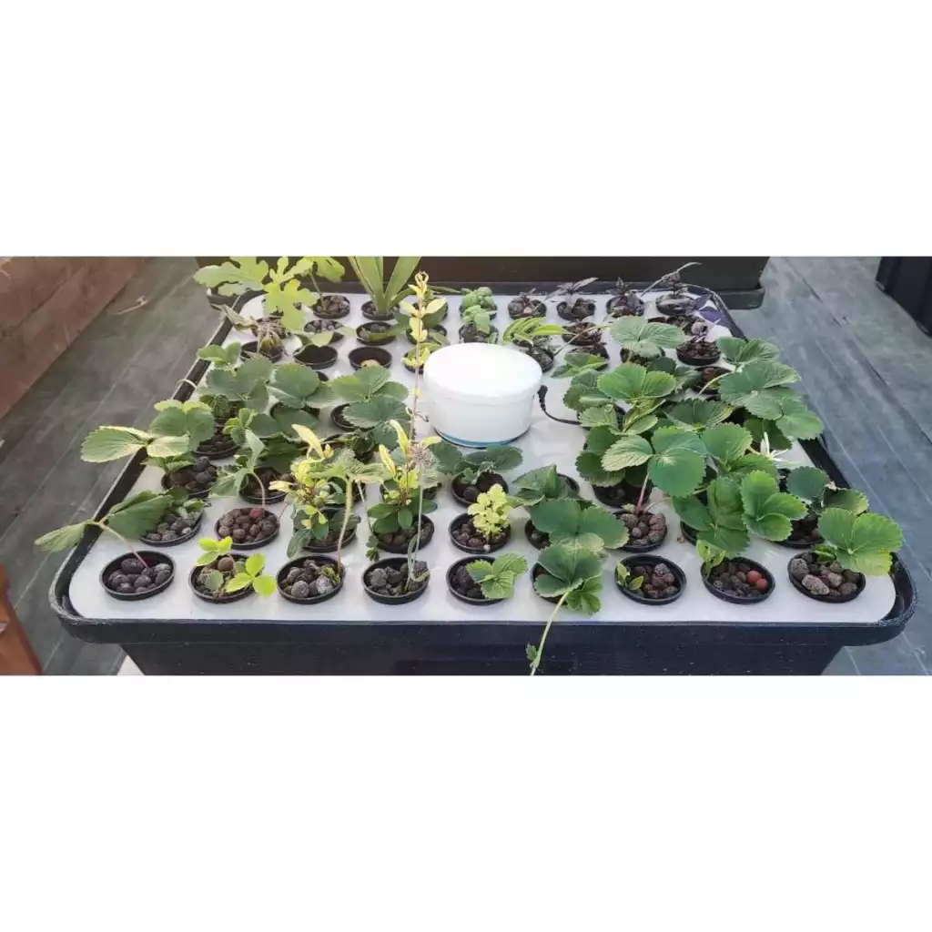 hydrocloner spinner 72 terra aquatica ghe 2