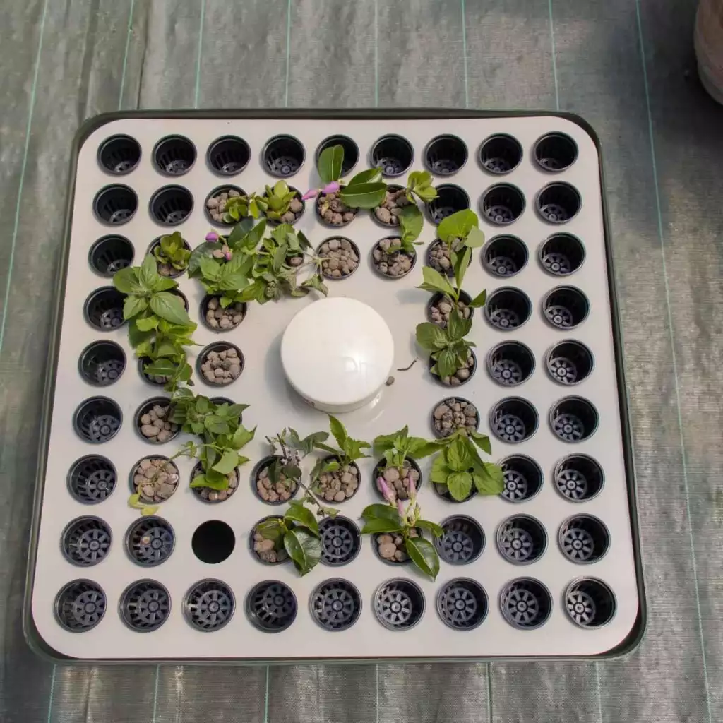 hydrocloner spinner 72 terra aquatica ghe 3