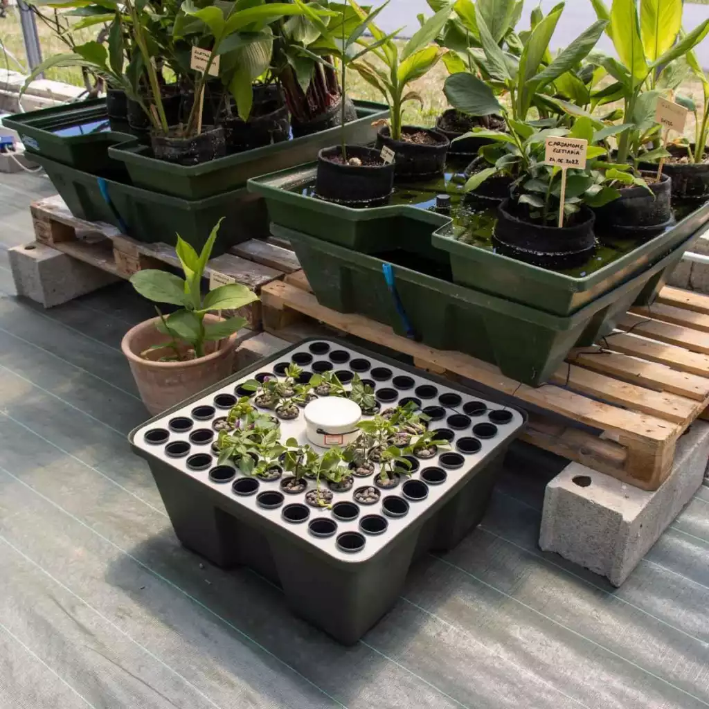 hydrocloner spinner 72 terra aquatica ghe 4