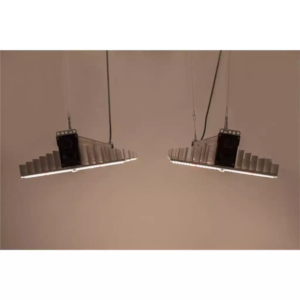 sanlight evo 4 100 led 5