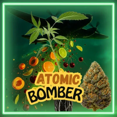 Atomic Bomber – 6 Stück