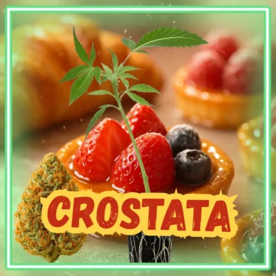 Crostata – 6 Stück