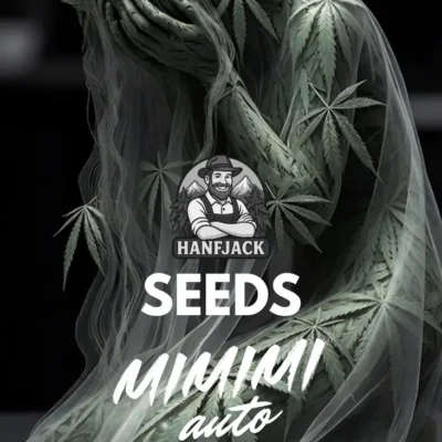 Hanfjack Seeds Mimimi Auto – 3 Seeds