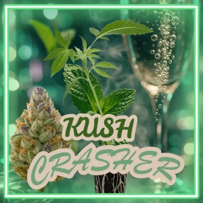 Kush Crasher – 6 Stück