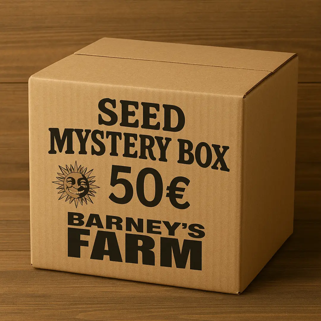Mystery Box Barneys Farm 50 euro