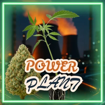 Power Plant – 6 Stück