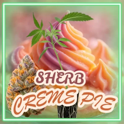 Sherb Creme Pie – 6 Stück