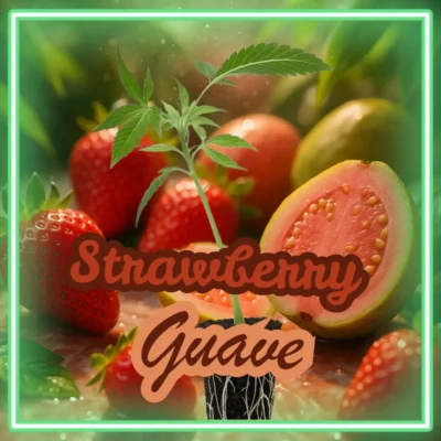 Strawberry Guave