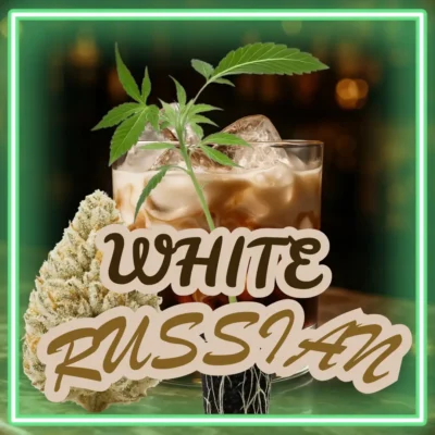 White Russian – 6 Stück