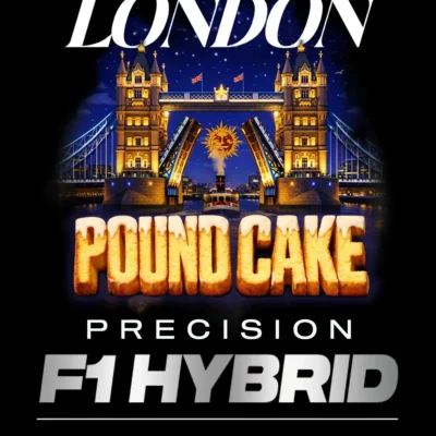 Barneys Farm London Pound Cake Auto 3er Packung