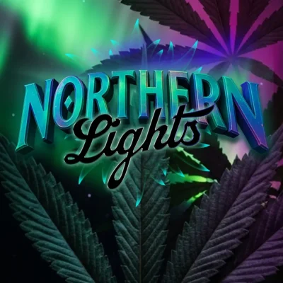 Barneys Farm Northern Lights 3er Packung