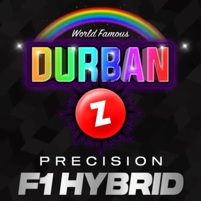 Barneys Farm Durban Z F1 3er Packung