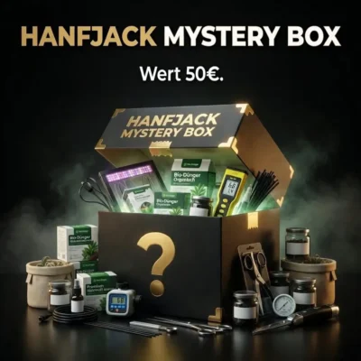 Mystery Box 50 Euro