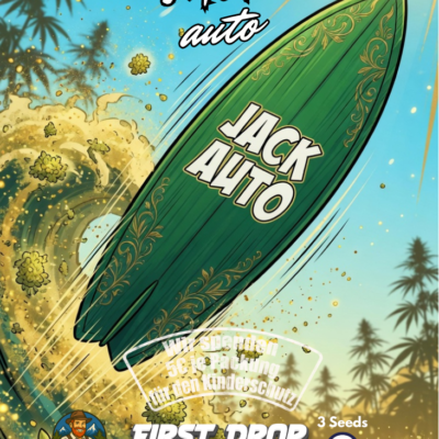 Hanfjack Seeds Jack Auto – 3 Seeds